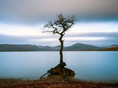 İstatistiklere Yansımayan Korona Gerçekleri, İstatistik Biliminin Çaresiz Kaldığı Vicdan&nbsp;Acısı