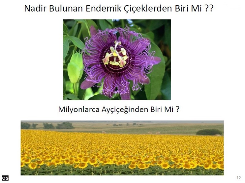 Deniz’in Kariyer Yolu