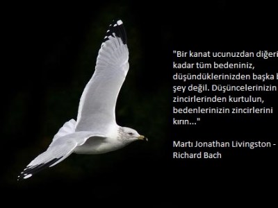 Miniklere Sunum : Endüstri Mühendisi Kimdir ? Satınalmacı Kimdir&nbsp;?